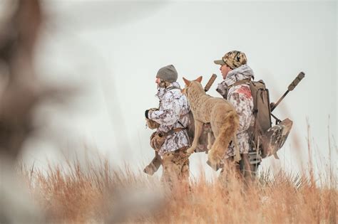 Mastering Predator Calling: An In-Depth Guide for Successful Hunts – Sceery Outdoors