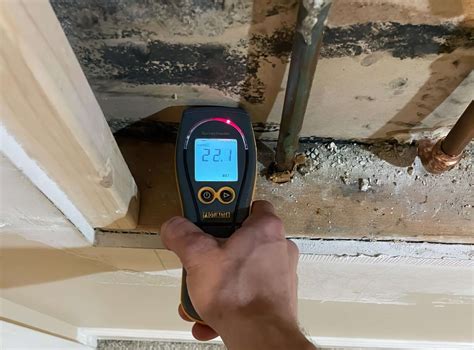 Will Dry Heat Kill Mold at Terence Fanning blog