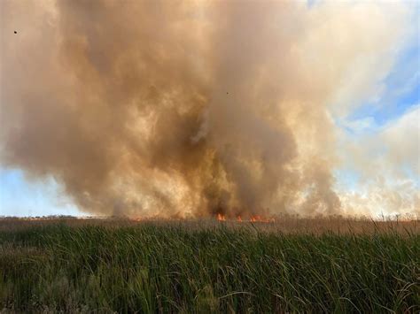 Crews battle grass fire near I-5 in Woodland | News | davisenterprise.com