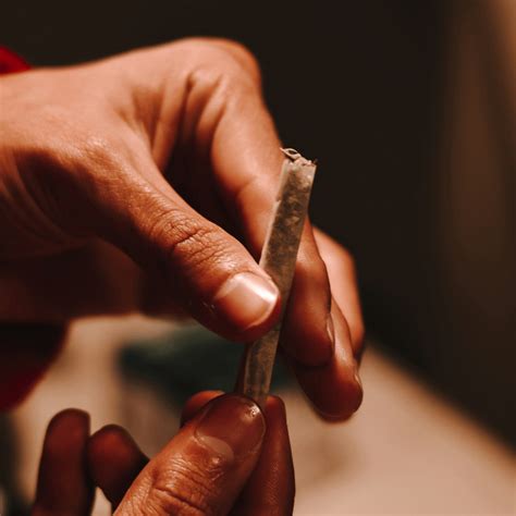 Blunt Vs Joint: Which One's Your Perfect Hit?