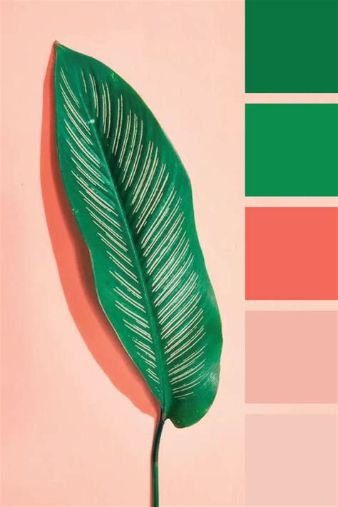 Green & Coral Color Palette for Vibrant Art Projects