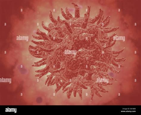 Microscopic view of yellow fever virus. Yellow fever is an acute viral ...
