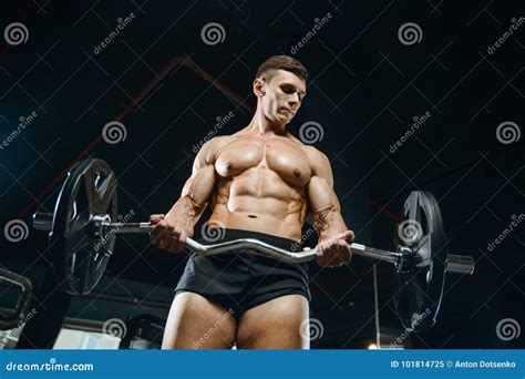 Handsome Model Young Man Training Arms in Gym Stock Image - Image of lean, heavy: 101814725
