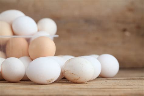 Dating and Refrigerating Eggs- What You Need to Know – Flockjourney