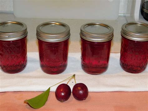 7 Apple Jam Recipes