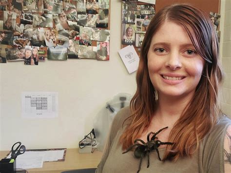 Large Spiders In Central Texas