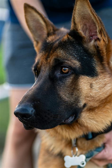 Anime+Sex+Positions Photos, Download The BEST Free Anime+Sex+Positions ...