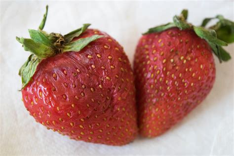 Tested: The Best Way to Keep Strawberries Fresh « Food Hacks :: WonderHowTo