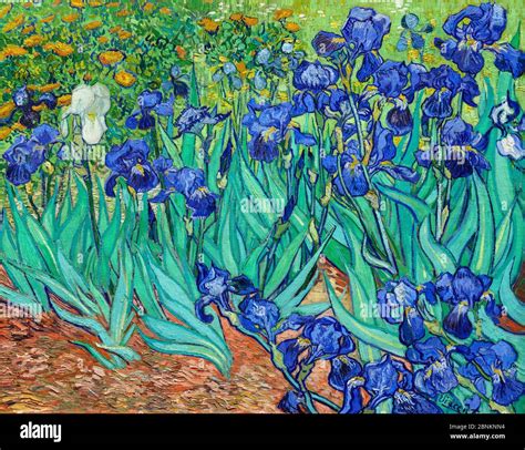 Irises by Vincent van Gogh (1853-1890), oil on canvas, 1889. Van Gogh ...