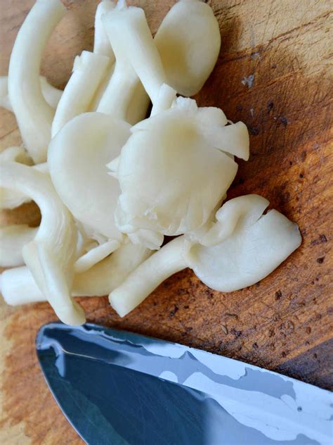 Can You Freeze Oyster Mushrooms? And How? » Joyful Dumplings