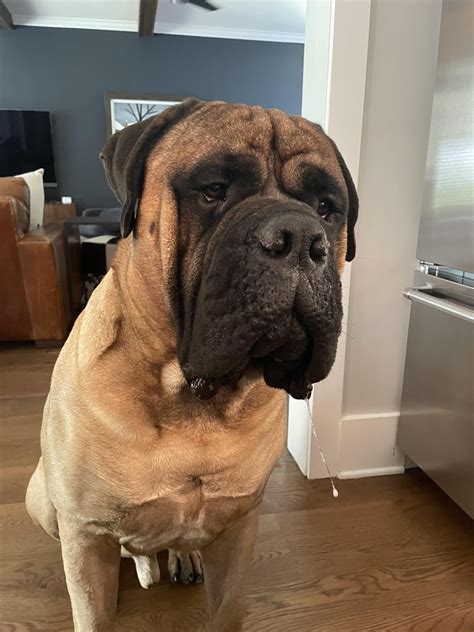 Help! Sagging jowls : r/30PlusSkinCare