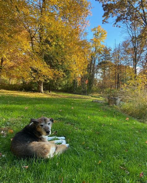 mimi | will love you forever and ever penny lane xx | Instagram