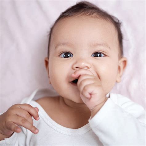 Suckable Exclusive Porn Videos