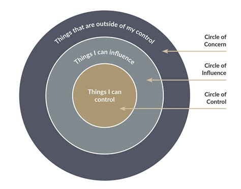 Circle of Control: A Therapist's Guide to Letting Go of Overwhelm ...
