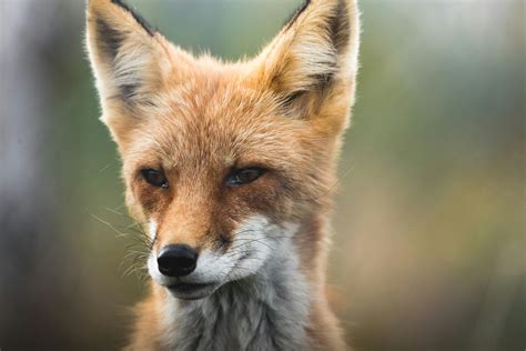 Cute Profile Photos, Download The BEST Free Cute Profile Stock Photos ...