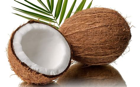 Delicious Coconut Bliss - HD Wallpaper