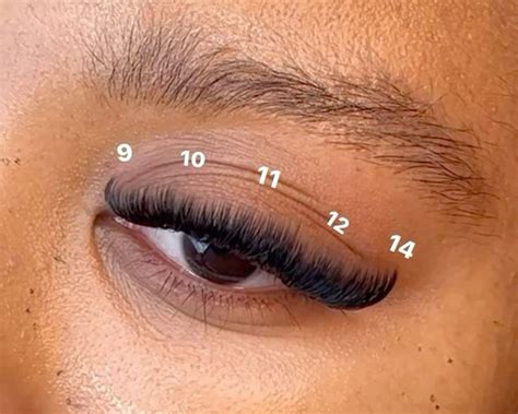 cat eye lash map | Lashes fake eyelashes, Pretty lashes, Perfect eyelashes