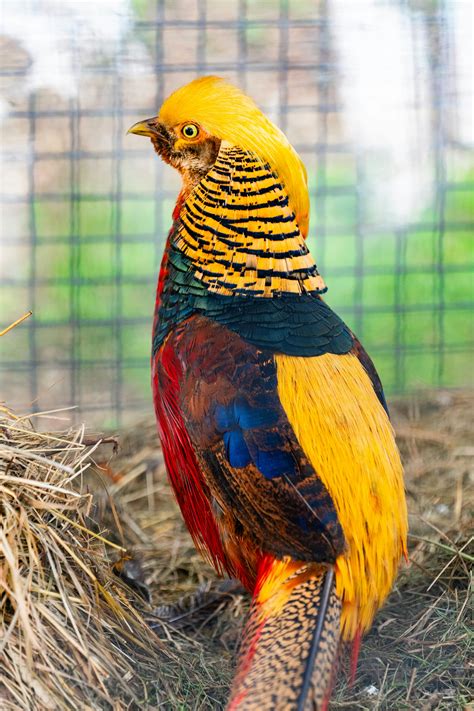 Anime+Sex+Videos+Uncensored Photos, Download The BEST Free Anime+Sex ...