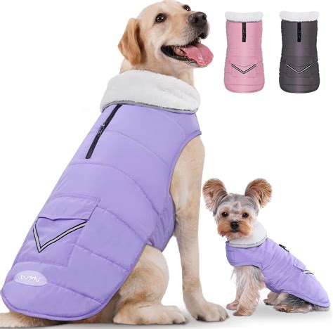 Amazon.com : iBuddy Dog Winter Jackets with Fleece Vest,Waterproof Warm ...