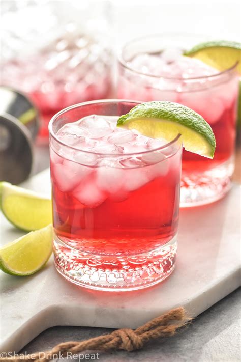 Cranberry Vodka Sour Recipe | Besto Blog