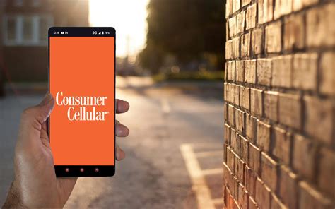 Unpacking Affordability: Exploring Consumer Cellular's $20 Plan