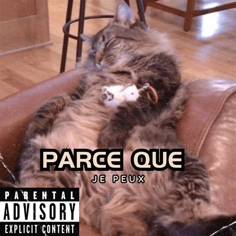 I sort my music on spotify so I thrown album covers on each playlist ...