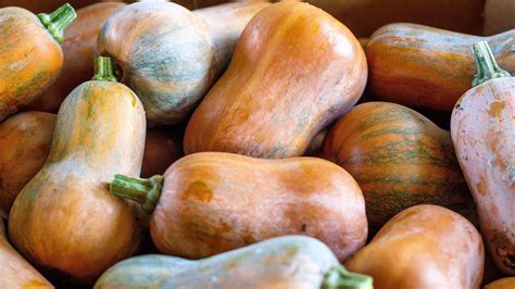 25 Certified Organic Honeynut Squash Seeds, Sweet Cucurbita Moschata ...