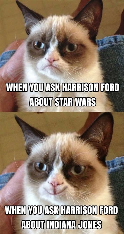 Star Wars Cat Meme