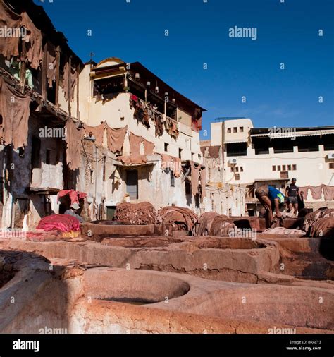 Fez Tannery, Fez, Morocco, North Africa, Africa Stock Photo - Alamy
