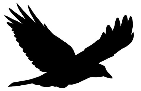 Bird Silhouette Solo Flying transparent PNG - StickPNG