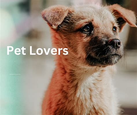 Dissecting a Frog: A Fascinating Learning Experience