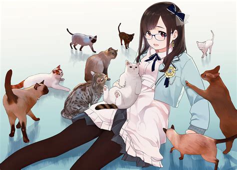 [200+] Anime Cat Wallpapers | Wallpapers.com