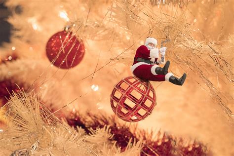 Best funny christmas zoom backgrounds - jobjas