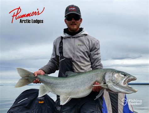 Plummer’s Arctic Lodges – Great Slave Lake - Updated 2024 Prices