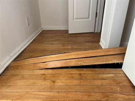Hardwood floor buckling : r/Flooring