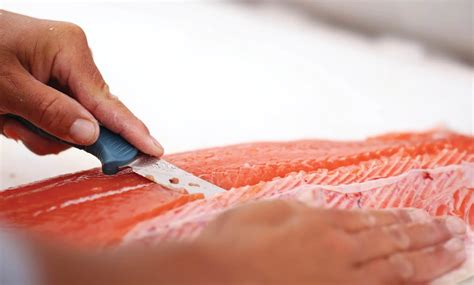 Benchmade Redefines Summer EDC With Its Water Line Knives | Gear Patrol