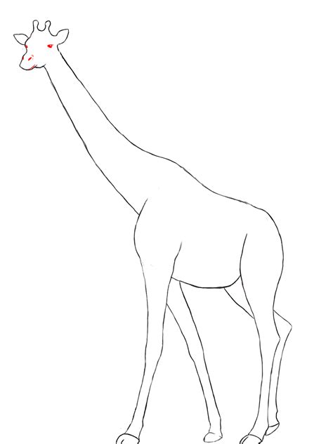 Giraffe Drawing Easy at GetDrawings | Free download