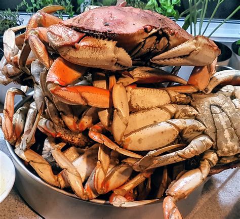 How to Cook Whole Dungeness Crab: A Step-by-Step Guide