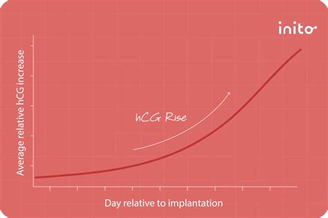 The Complete Guide to Implantation | Inito