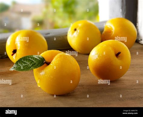 Fresh picked yellow Golden plums in a rustic kitchen Stock Photo - Alamy