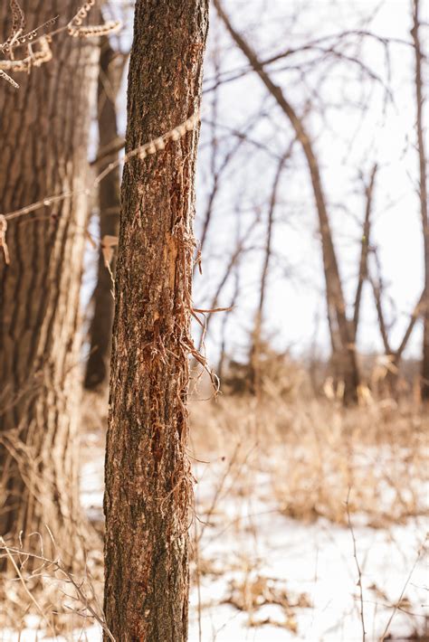 Red Cloud, NE 68970 | Listing | American Legacy Land Co.