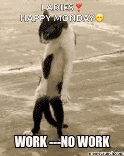 Funny Happy Monday GIFs | Tenor