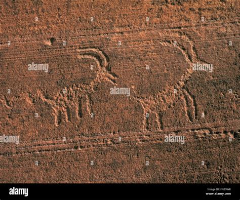 Buckskin Gulch Petroglyphs