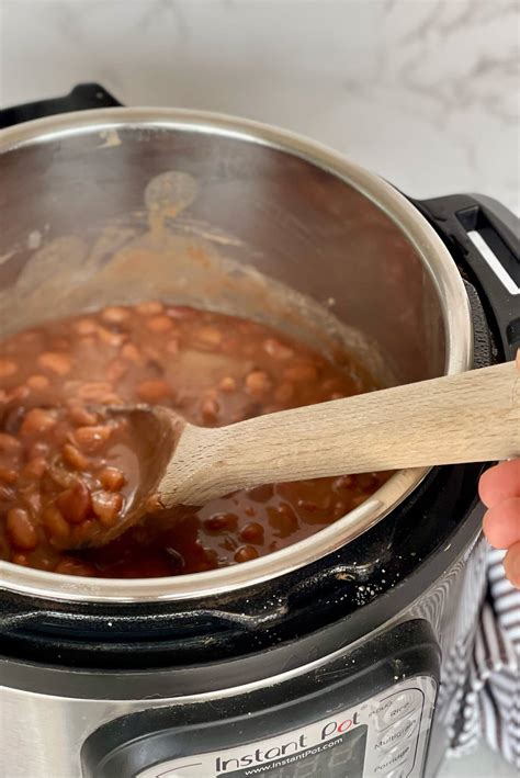 Pinto Beans Instant Pot Soaked at Shaunta Austin blog