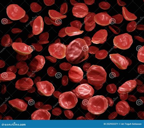 Red Blood Cells are in a Hypertonic Solution Stock Illustration ...
