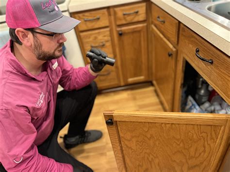 Rodent Control Orlando FL | LydyBug Pest Control