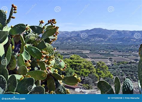 Greece, Crete Island, Rural Landscape Stock Photo - Image of ...