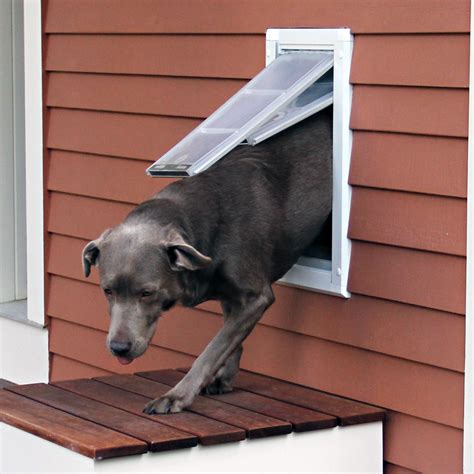 Best Large Dog Door Flap at John Murawski blog