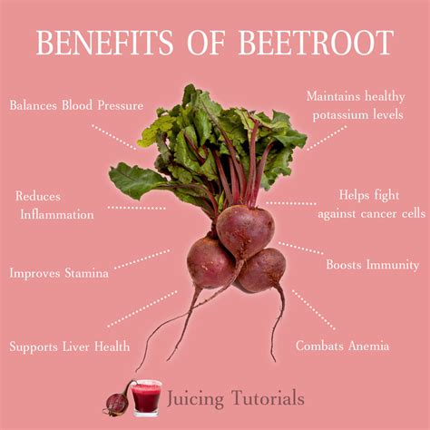 Benefits of Beetroot Vegetable | Beetroot benefits, Vegetable benefits, Food health benefits