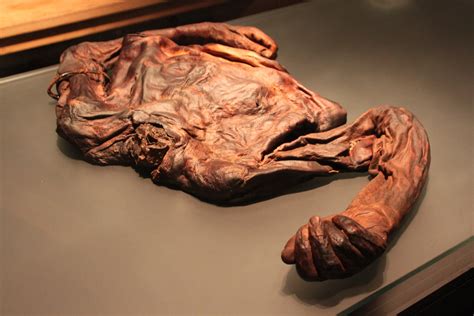 Ór - Ireland's Gold — REENA AHLUWALIA